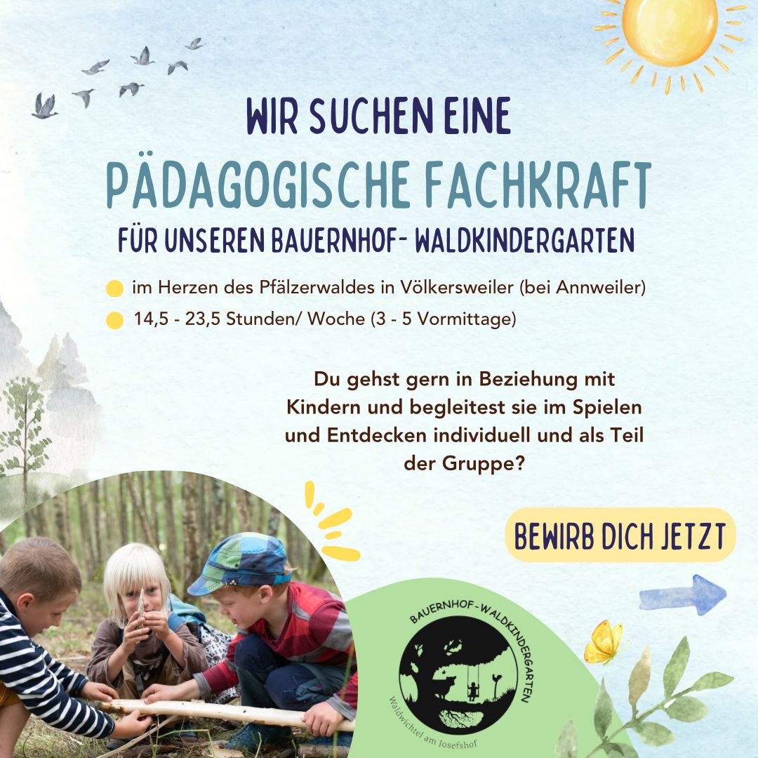 Pädagogische Fachkraft gesucht – Flyer